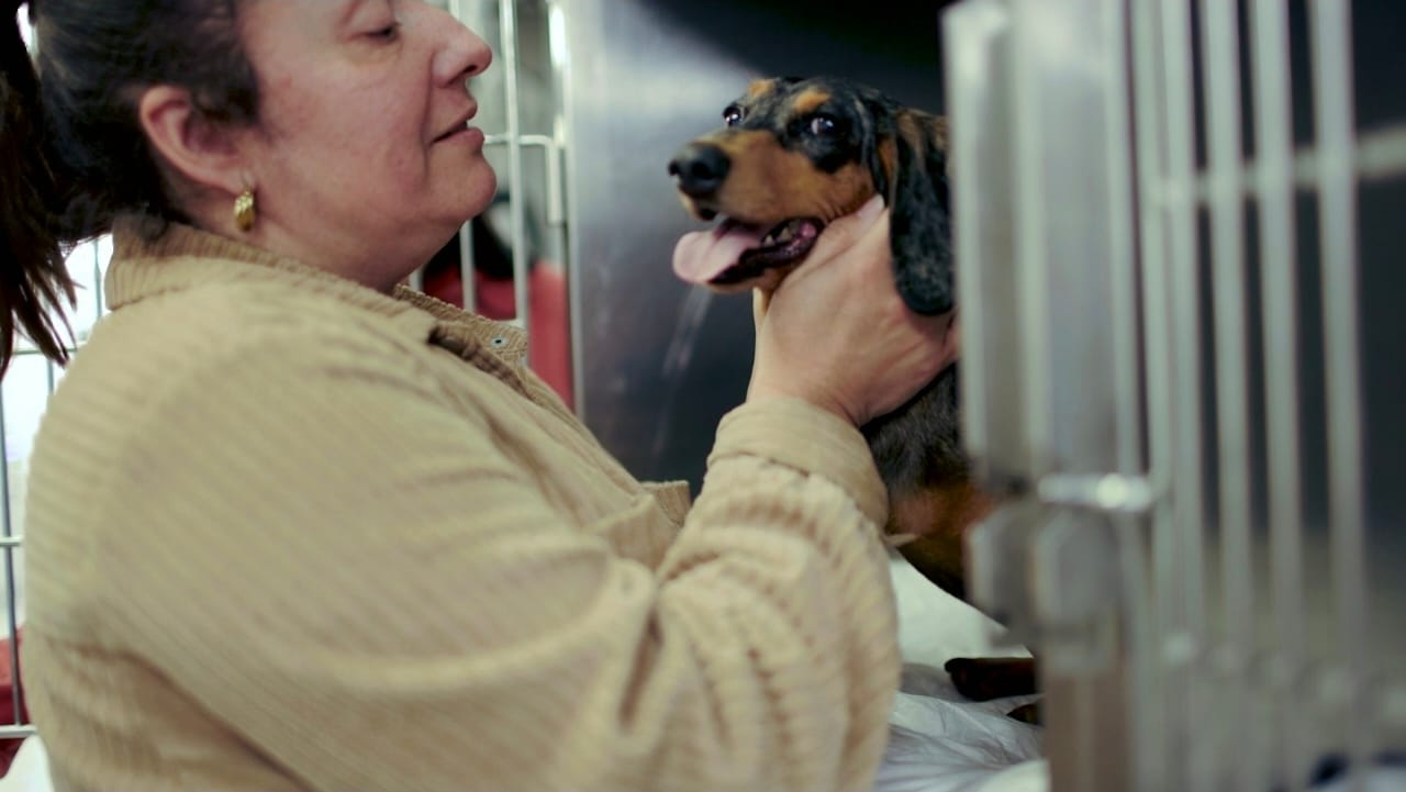 Imagen de vista previa